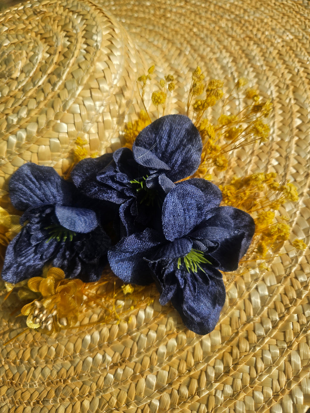 Pamela Lull