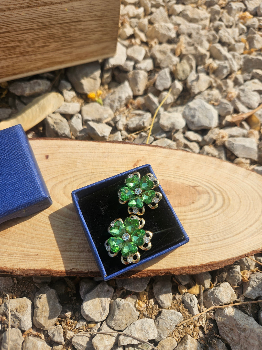 Pendientes Ferdant