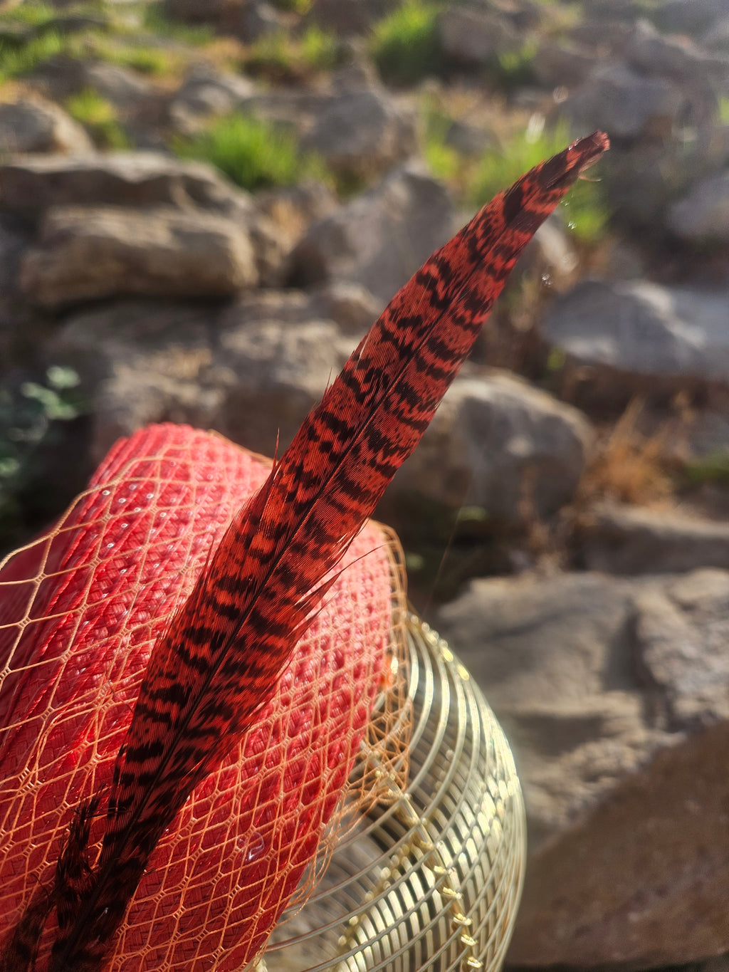 Sombrero Clement de malla roja con cinta negra estampada, primer plano