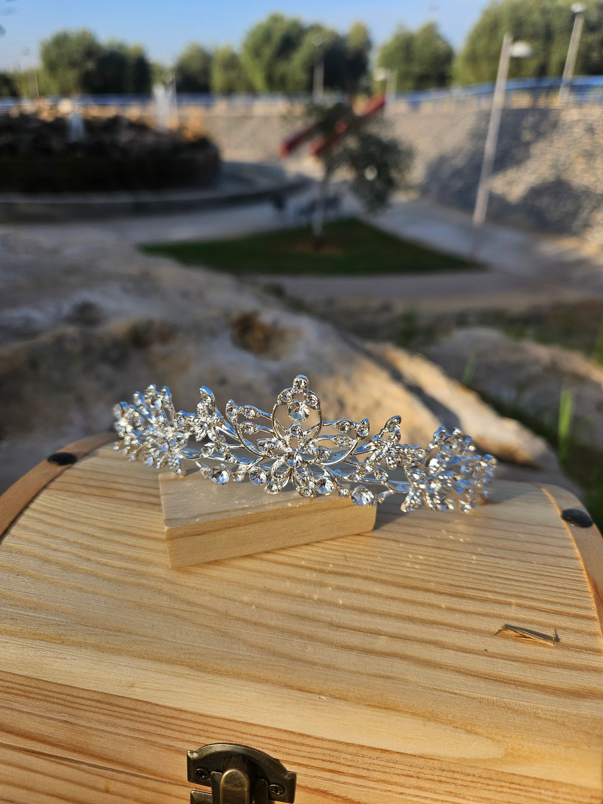 Corona novia Casilda