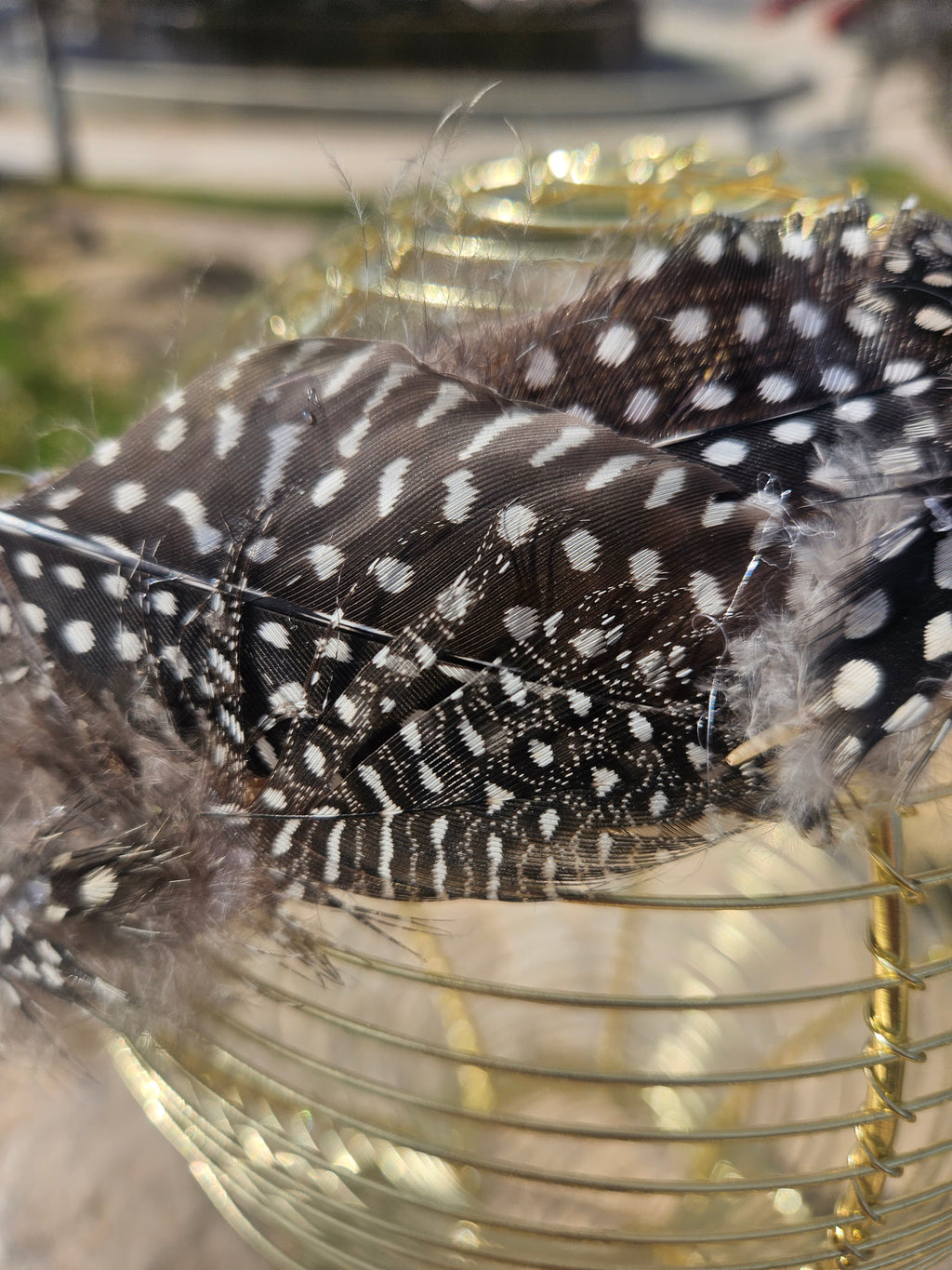 Diadema con banda negra de plumas con detalle blanco sobre malla dorada